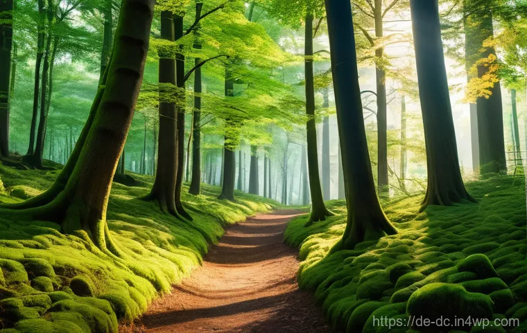 자연 기반 기후 솔루션의 미래 전망 - A serene and vibrant German mixed forest, with ancient oak trees and tall pines forming a dense cano...