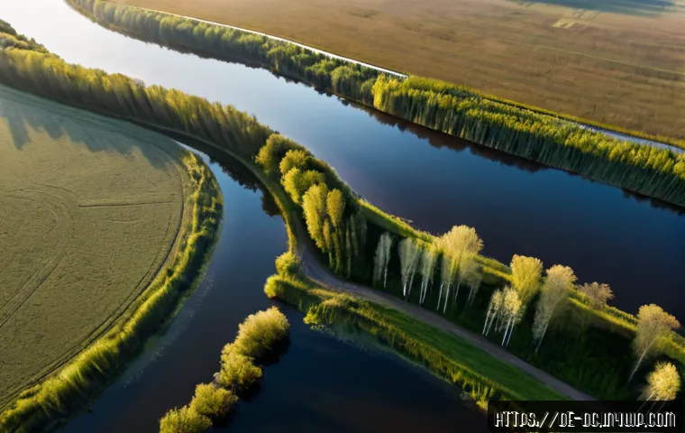 자연 기반 기후 솔루션의 도전과 기회 - Photorealistic aerial view of a restored European wetland beside a small German town, winding river ...